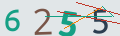 verifycode